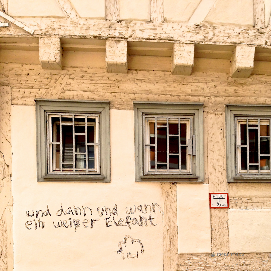 the elephant in the room