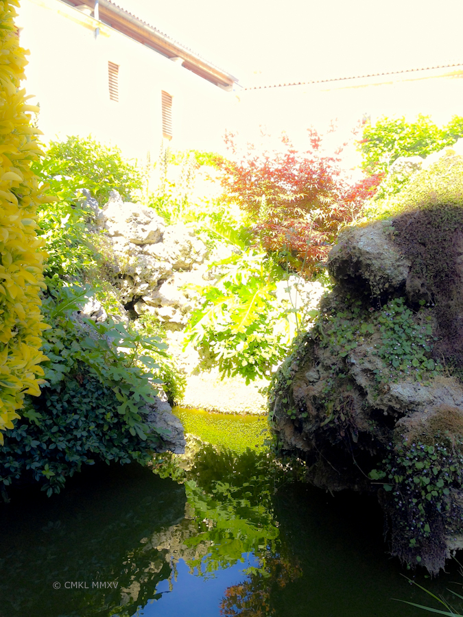 CourtYard.Library.01-1082