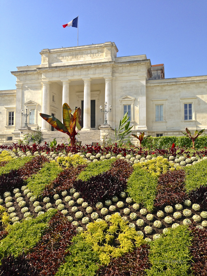 Saintes.Beet.Summer.2015-1097