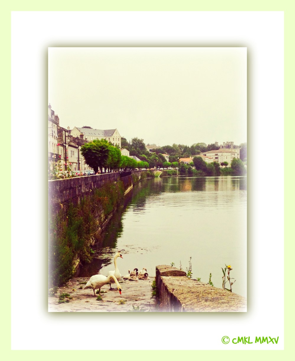 Swans.Saintes.2015-1407