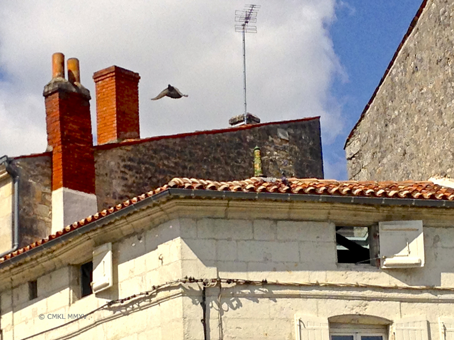 Walk.Saintes.19-1185