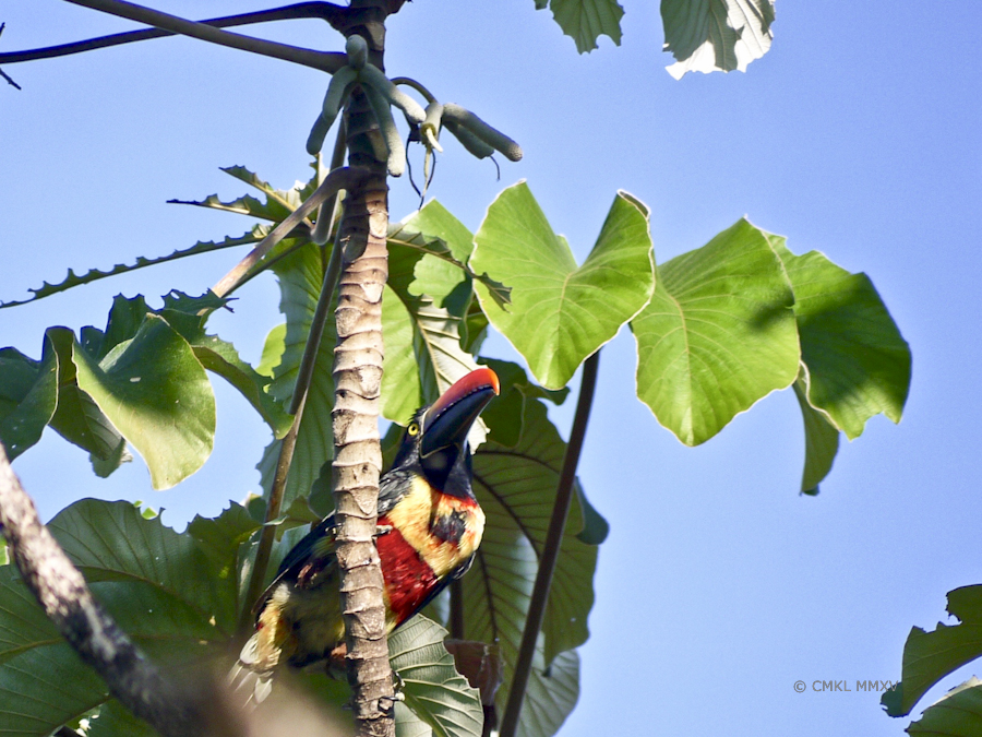 Anything else tasty around here?