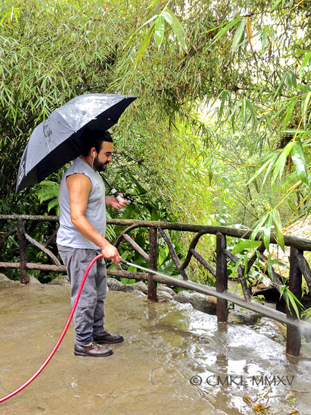 (with permission to post)