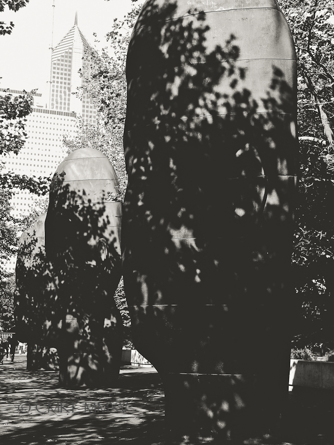 Chicago.2015.Plensa.05-1390267