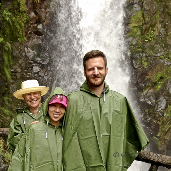 ... except for the goofy monkey in the back.