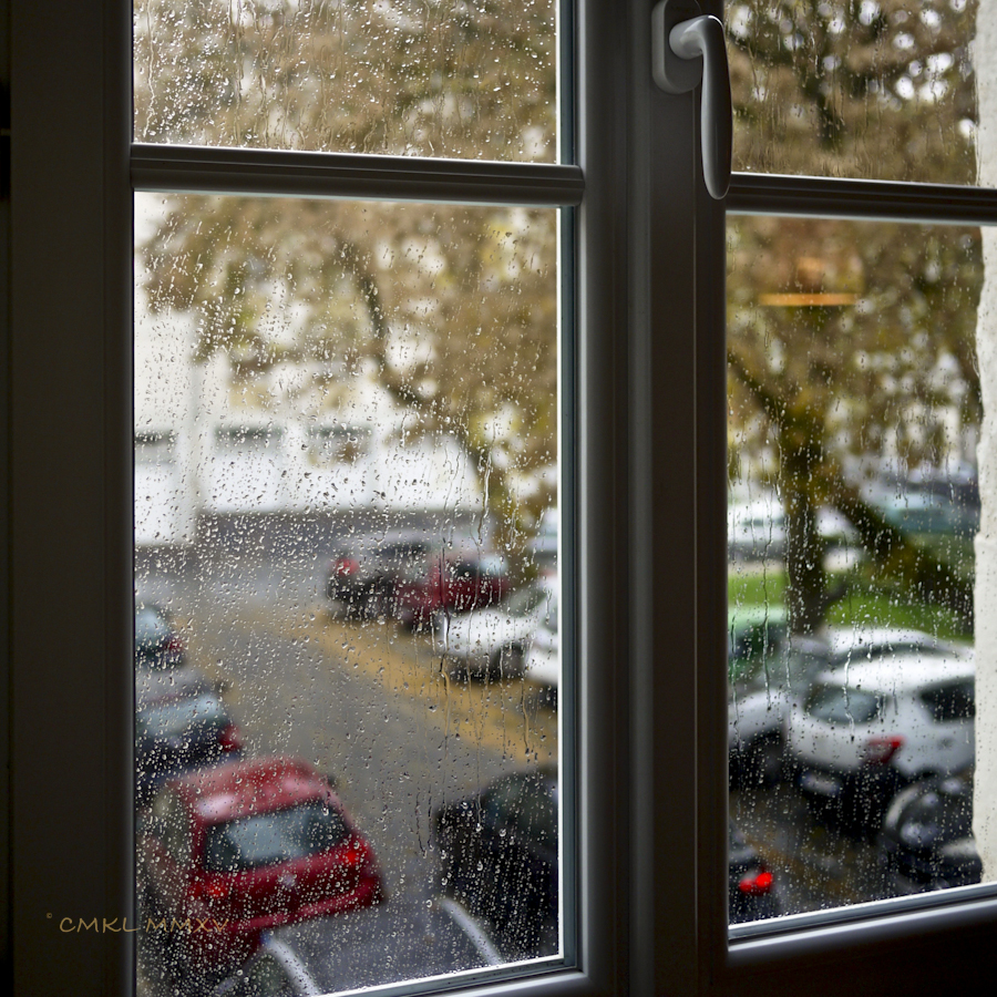 Charente.Rain.04-1400334