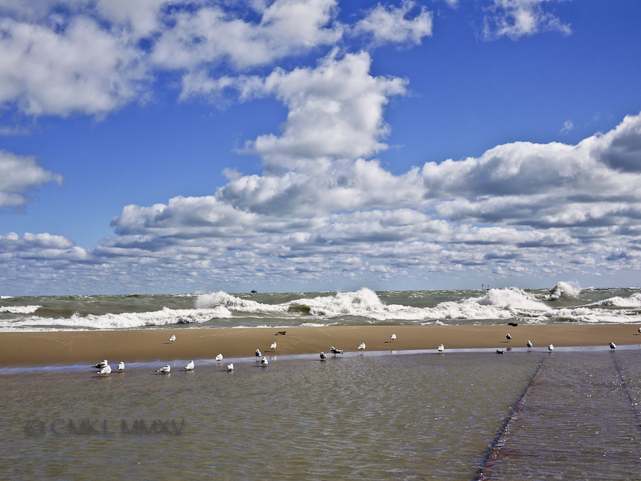 Flooded Boardwalk to Nowhere