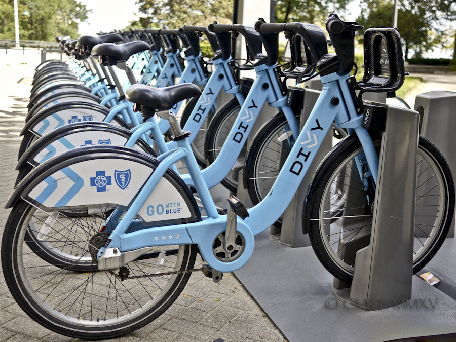 Chicago.Blue.04-1390360