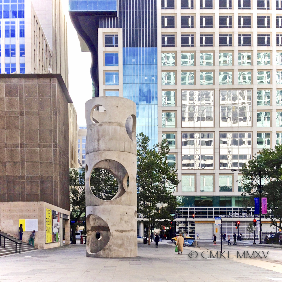 At the corner of Mies van der Rohe Way an Chicago Ave, the Cotemporary At Museum of Chicago