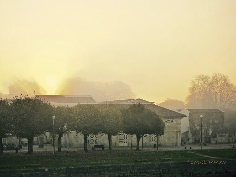 WeekEndNov.01-1400568