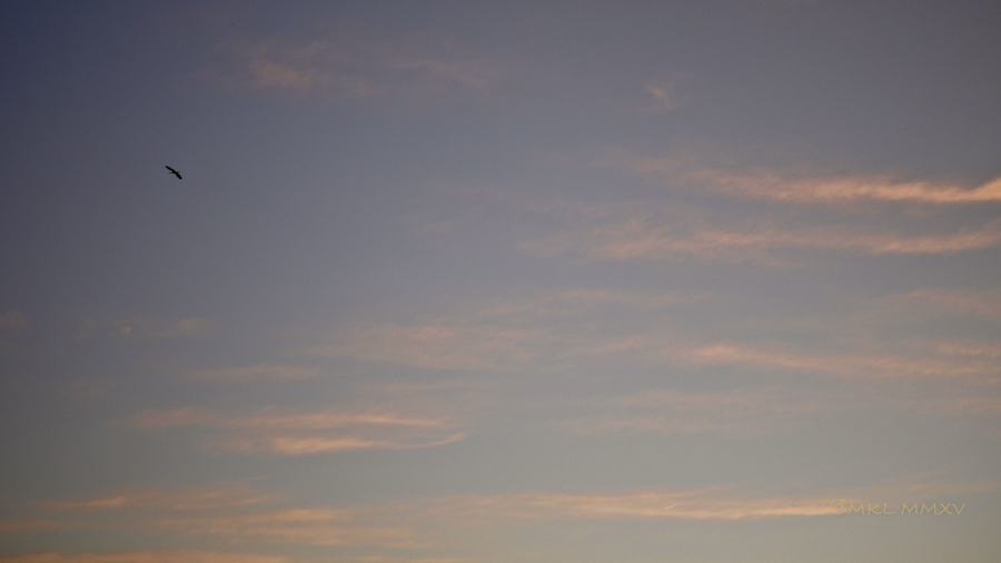 WeekEndNov.02-1400552