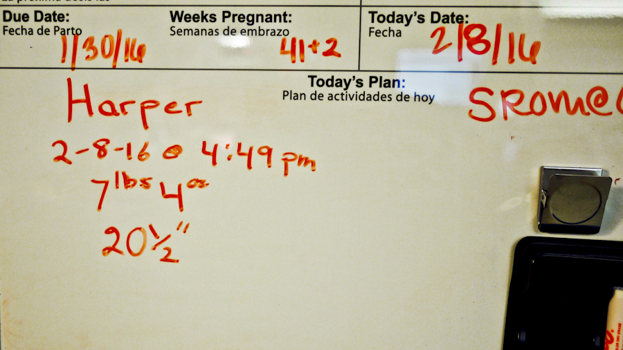 Harper Isabel's Birthday