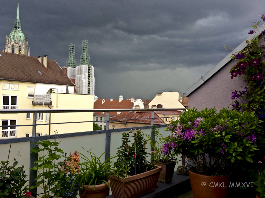 Trip.June.2016.06-5666