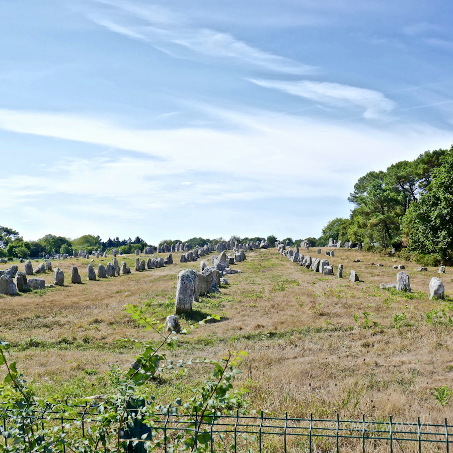 carnac-menhirs-06-1070892