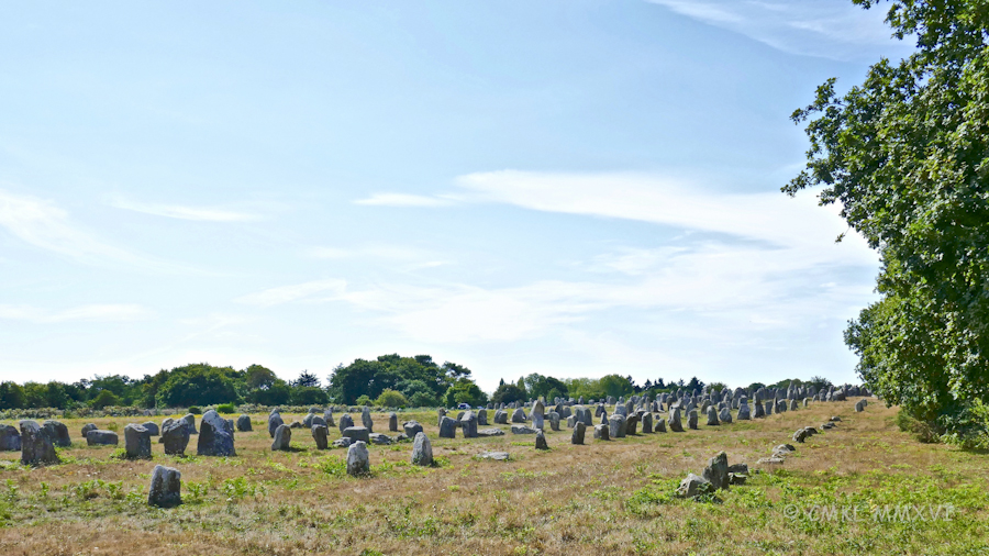 carnac-menhirs-07-1070907
