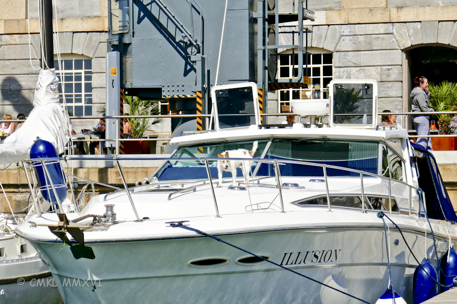 plymouth-royalwilliam-20-1050650