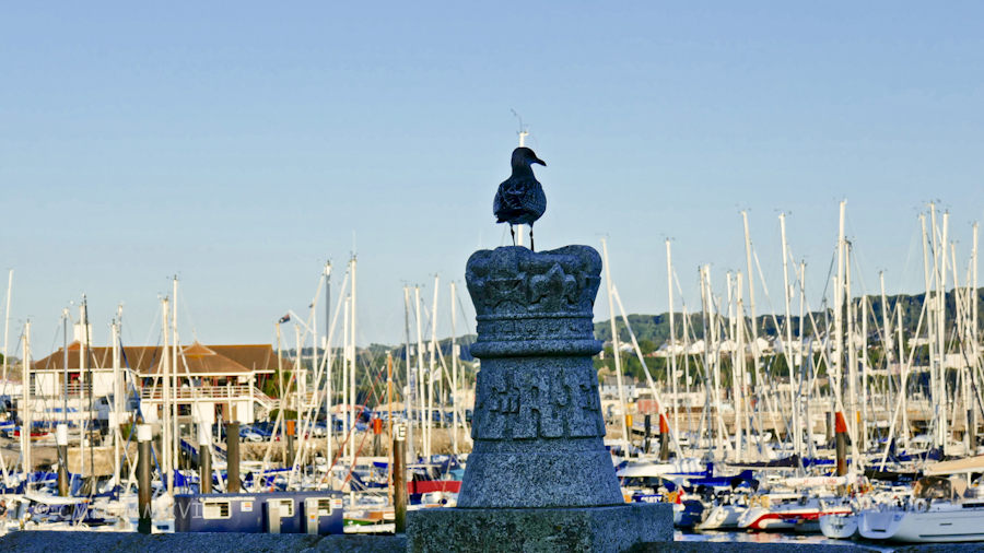 plymouth-sutton-01-1050221