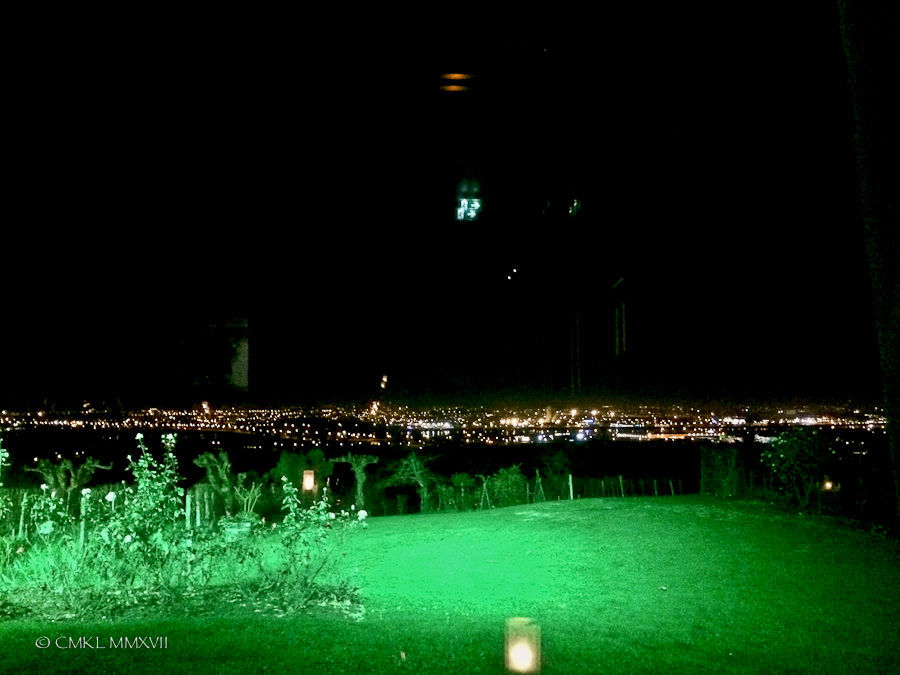 st-james-dinner-11-6818