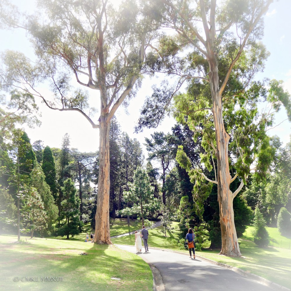 Home.Exchange.Melbourne.BotanicalGardens