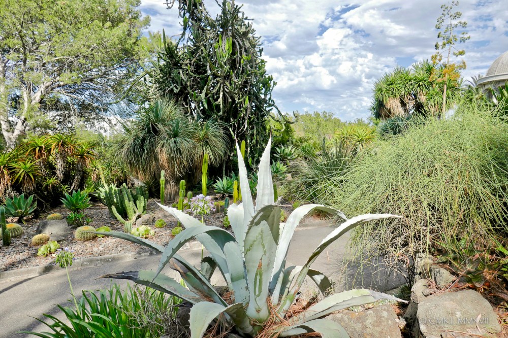 Home.Exchange.Melbourne.BotanicalGardens