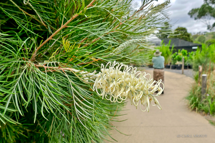 Home.Exchange.Melbourne.Zoo