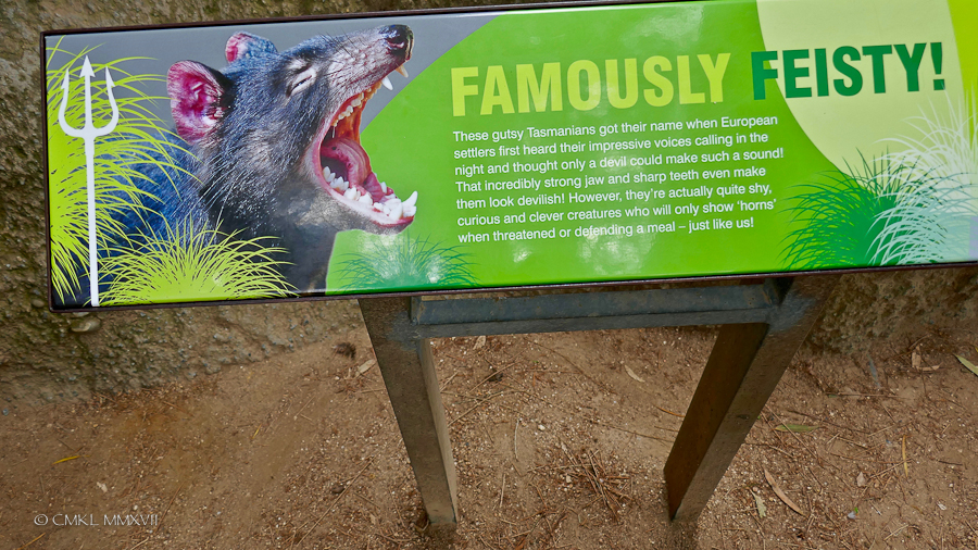 Home.Exchange.Melbourne.Zoo