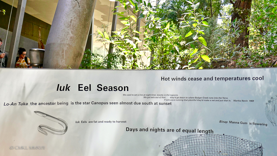 Home.Exchange.Melbourne.MelbourneMuseum