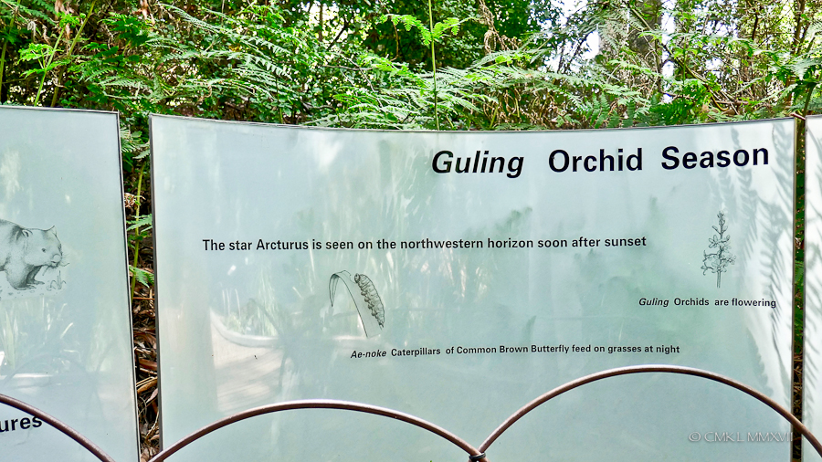 Home.Exchange.Melbourne.MelbourneMuseum