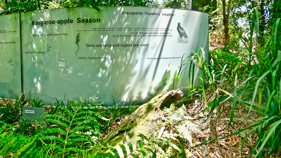 Home.Exchange.Melbourne.MelbourneMuseum