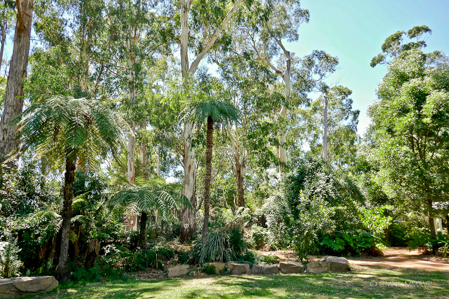 Home.Exchange.Melbourne.Healesville.Sanctuary