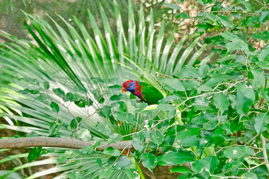 HongKong.Center.25-1190903