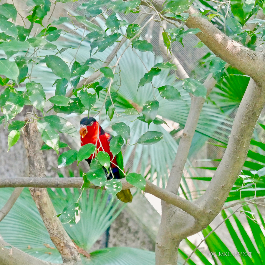 HongKong.Center.30-1190905