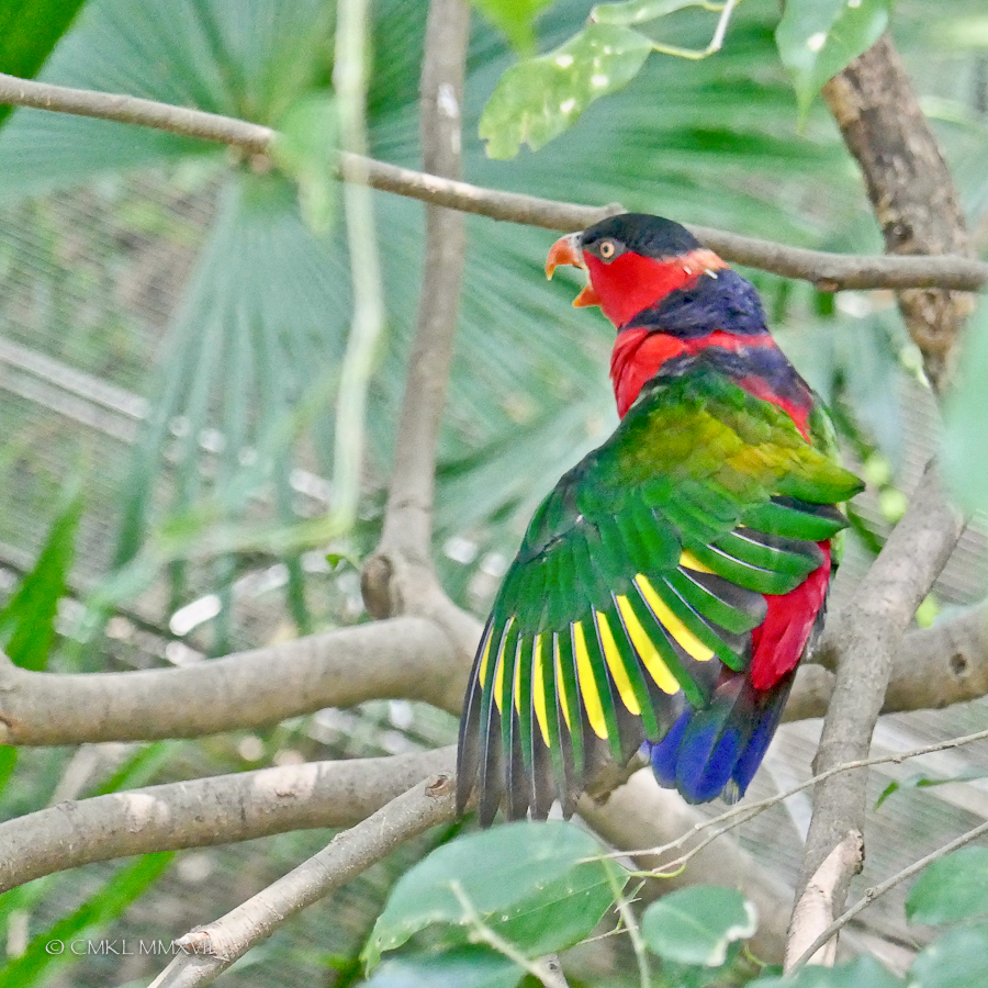 HongKong.Center.34-1190965