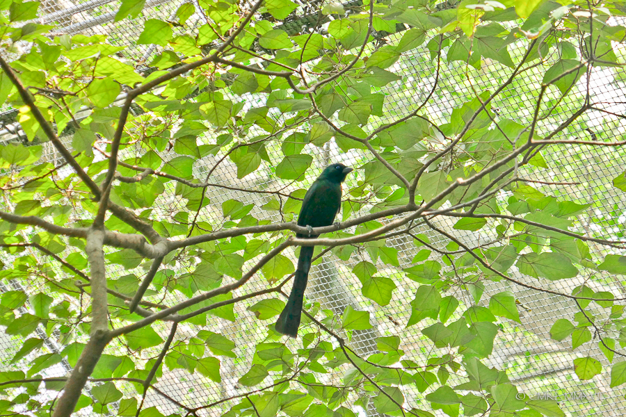 HongKong.Center.59-1200123