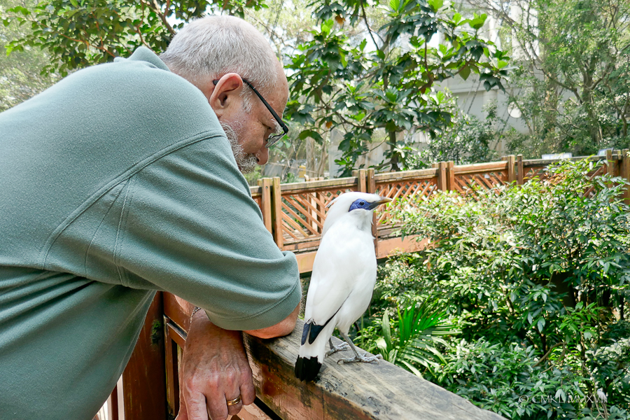 HongKong.Center.72-1200209