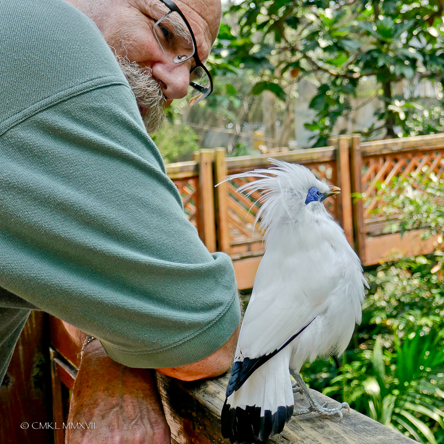 HongKong.Center.73-1200210