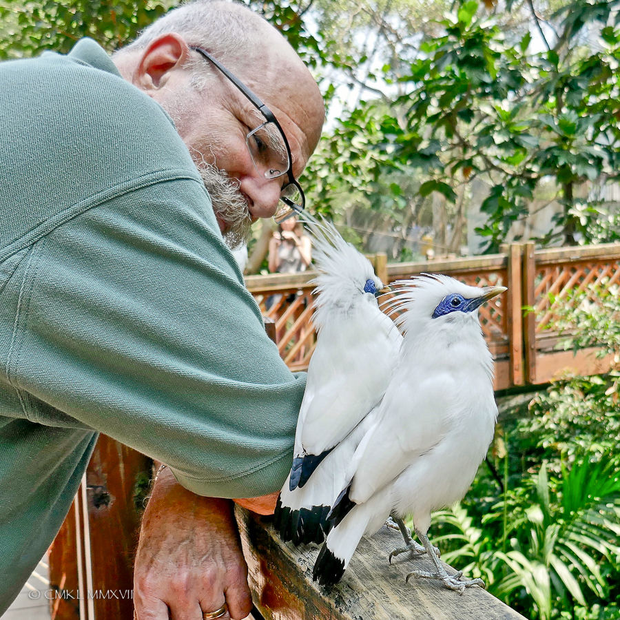 HongKong.Center.78-1200226