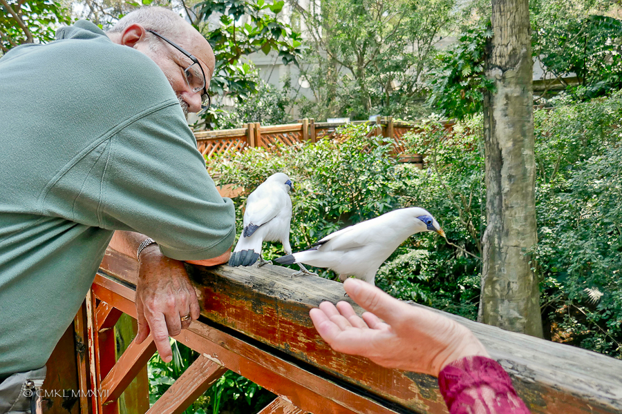 HongKong.Center.79-1200196