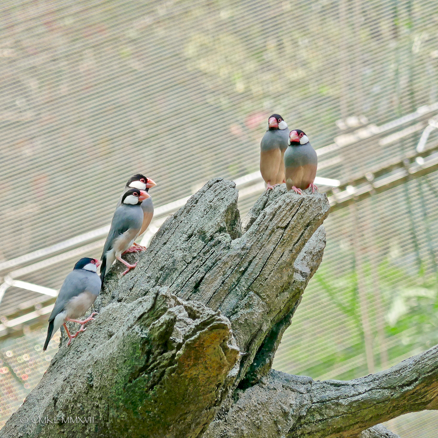 HongKong.Center.80-1200256