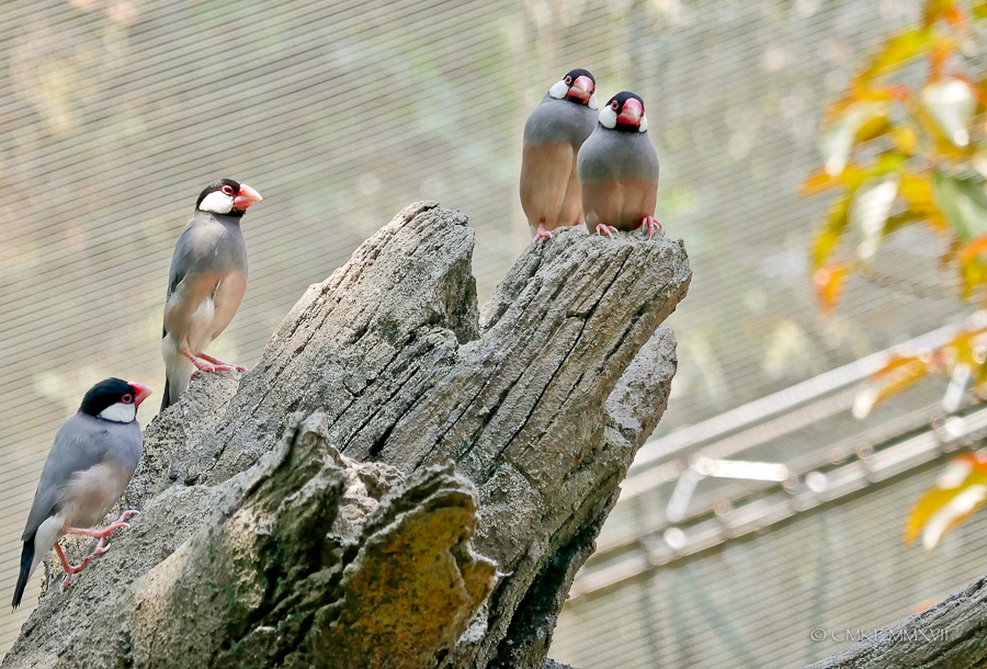 HongKong.Center.82-1200268