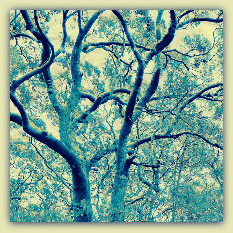 Sydney.Home.Exchange.182.B-1170203