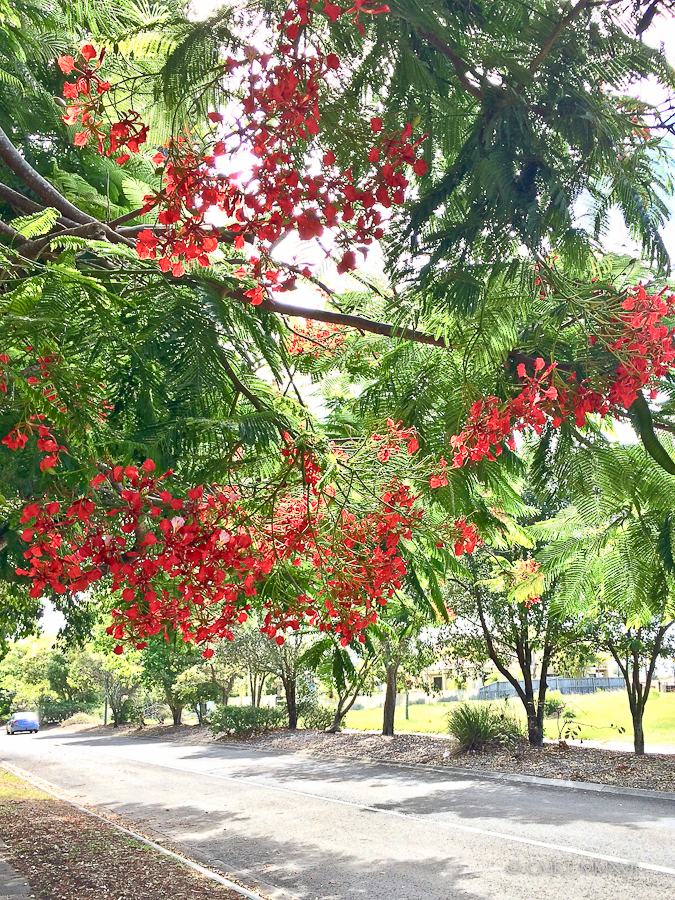 Pelican.Waters.Home.Exchange.09-7230