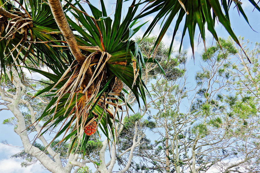 Pelican.Waters.Home.Exchange.14-1180017