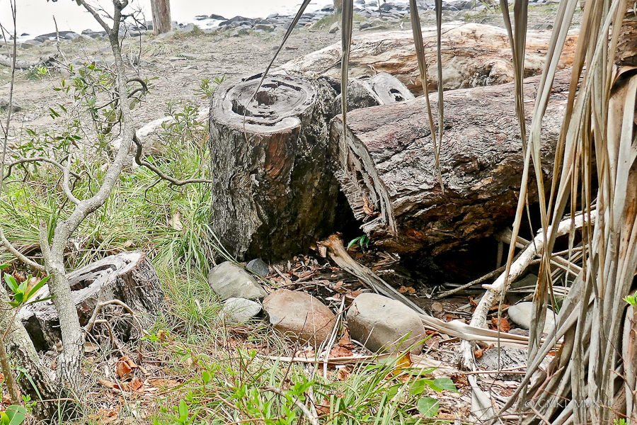 Pelican.Waters.Home.Exchange.32-1180094