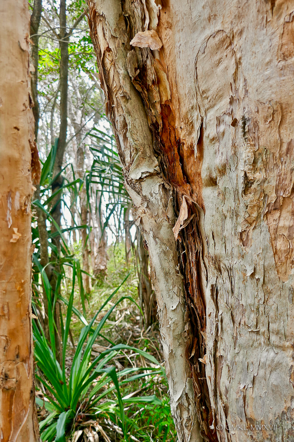 Pelican.Waters.Home.Exchange.43-1180111