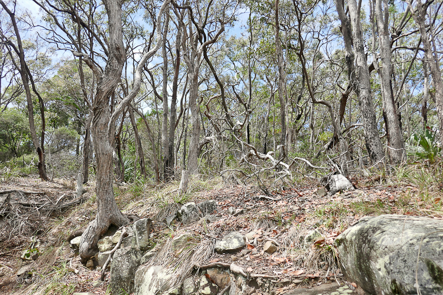 Pelican.Waters.Home.Exchange.49-1180124