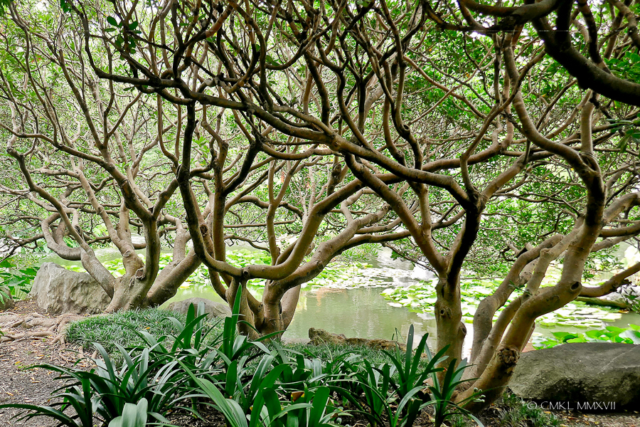 Sydney.Home.Exchange.222-1170358