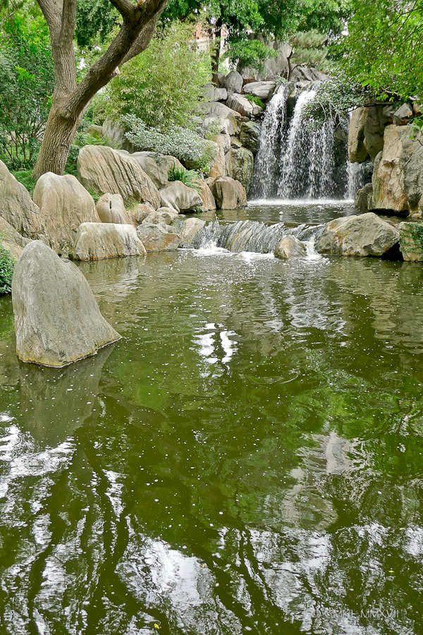 Sydney.Home.Exchange.228-1170395