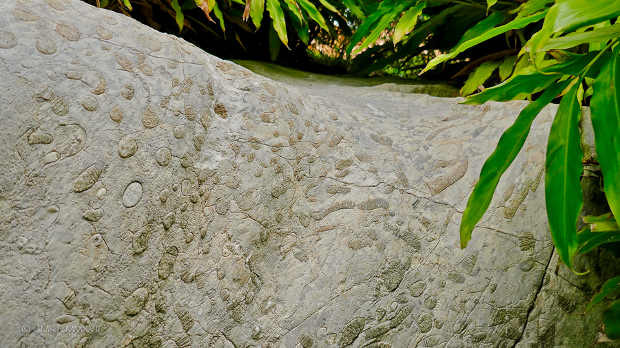 Sydney.Home.Exchange.231-1170400