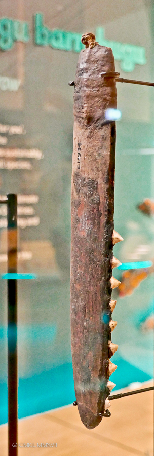 Sydney.Home.Exchange.282-1170680